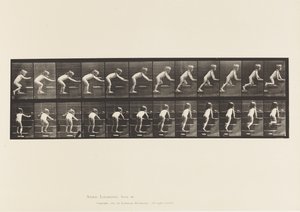 Plaat 480. Kind, Lopen en Kruipen op Trappen door Eadweard Muybridge