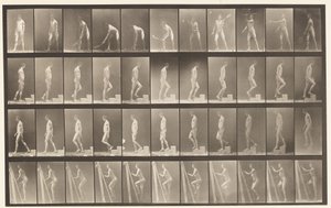 Plaat 486. A, Lawn Tennis; B, Een stap omhoog, 1872-1885 door Eadweard Muybridge