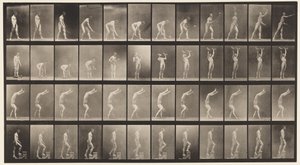 Plaat 488. A, Lawn Tennis; B, Halters; C, Op handen lopen, 1872-1885 door Eadweard Muybridge