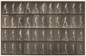 Plaat 489. A, helling beklimmen, 1872-1885 door Eadweard Muybridge