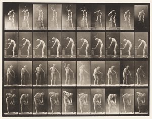 Plaat 491. A, Hameren op aambeeld; B, Hameren op aambeeld door Eadweard Muybridge