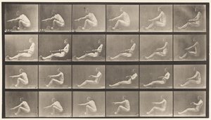 Plaat 492. A door Eadweard Muybridge