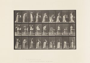 Plaat 496. Diverse Fasen van het Toilet, 1885 door Eadweard Muybridge