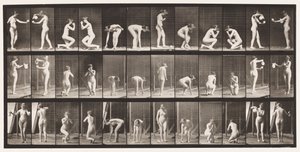 Plaat 501. Diversen, Bukken, Knielen, enz. door Eadweard Muybridge