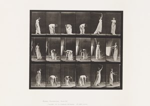 Plaat 503. Diversen - Bukken, enz. door Eadweard Muybridge