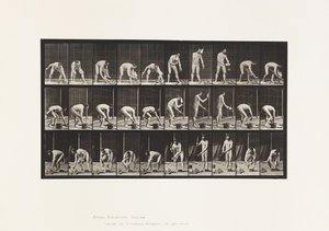 Plaat 506. Metselen door Eadweard Muybridge