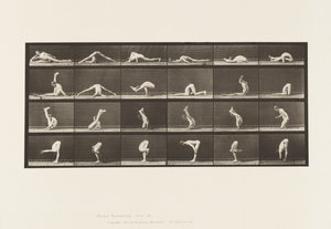 Contorties op de Grond, 1872-1885 door Eadweard Muybridge