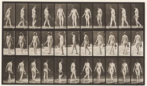 Lopen en omdraaien, gebruik van een sproeipot door Eadweard Muybridge