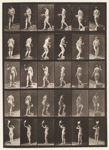 A, Een Stap Afdalen; B, Een Stap Beklimmen door Eadweard Muybridge