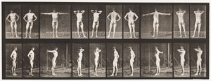 Plaat 529. Verschillende Houdingen door Eadweard Muybridge