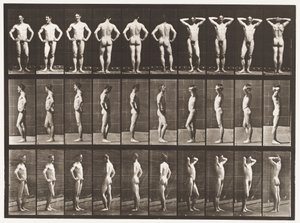 Plaat 530. Verschillende Houdingen door Eadweard Muybridge