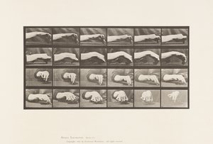 Beweging van de Hand; Een Cirkel Tekenen, 1885
