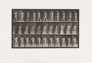Plaat 541. Meervoudige Cerebro-Spinale Sclerose (Choreic); Wandelen door Eadweard Muybridge