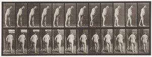 Hemiplegie; Lopen met Kruk, 1885 door Eadweard Muybridge