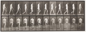 Epilepsie; lopen door Eadweard Muybridge