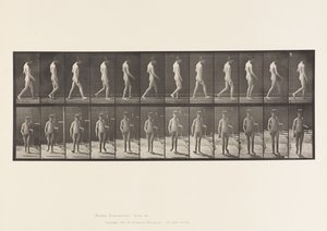 Epilepsie; lopen door Eadweard Muybridge