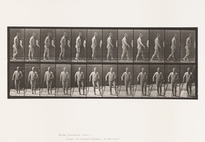 Plaat 552. Hemiplegie; lopen met stok, 1885 door Eadweard Muybridge