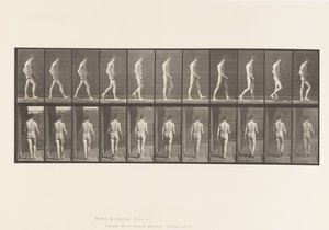Locomotorische ataxie; lopen door Eadweard Muybridge