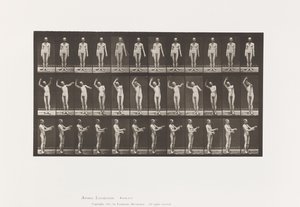 Lokale Chorea; A, B, C, Terwijl Staand door Eadweard Muybridge