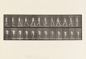 Plaat 560. Locomotorische ataxie; lopen, 1885 door Eadweard Muybridge