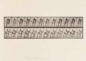 Plaat 578. Wandelen; Zonder Zadel; Donkergrijs Belgisch Paard Dusel door Eadweard Muybridge