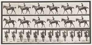 Plaat 580. Wandelen; zadel; volbloed vosmerrie Annie G., 1885 door Eadweard Muybridge