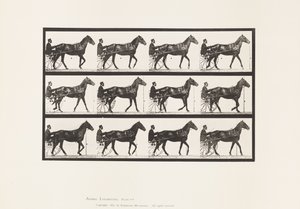 Lopen; Sulky; Bruin Paard Reuben, 1885