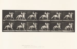 Draven door Eadweard Muybridge
