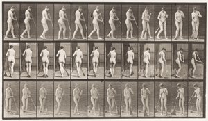 Plaat 58. Wandelen, omdraaien en de vloer vegen door Eadweard Muybridge