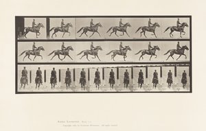 Plaat 592. Schommelen (Pacing): Zadel; Bruin Paard Pronto door Eadweard Muybridge