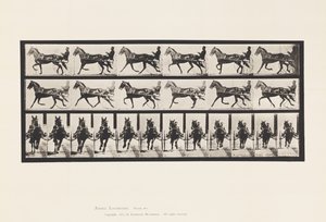 Plaat 595. Schommelen (Pacing): Sulky; Bruin Paard Pronto door Eadweard Muybridge