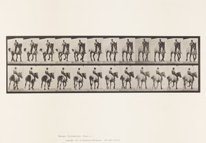 Plaat 600. Draven; Zonder Zadel; Donkergrijze Dusel door Eadweard Muybridge
