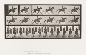 Plaat 601. Draven; Zadel; Bruine Merrie Beauty door Eadweard Muybridge