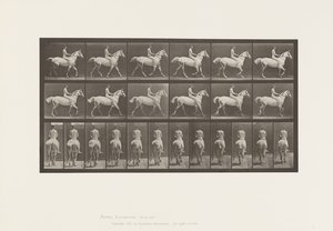 Plaat 602. Draven; Zonder zadel; Ruiter, 43, Naakt; Lichtgrijs paard Smith, 1885