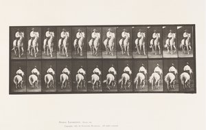 Plaat 604. Draven; Zadel; Wit Paard, Elberon door Eadweard Muybridge