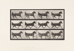 Plaat 606. Draven; Sulky; Bruin Paard, Reuben door Eadweard Muybridge