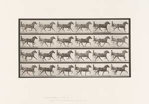 Plaat 609. Draven; Sulky; Bruine Merrie, Lizzie M. door Eadweard Muybridge