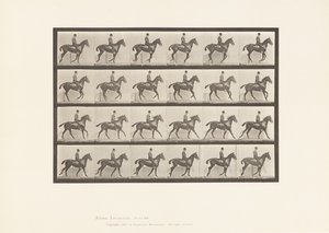 Plaat 616. Draf; Zadel; Bruin Paard Daisy door Eadweard Muybridge