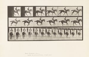 Plaat 620. Draf; Zadel; Volbloed Bruine Merrie Annie 6 door Eadweard Muybridge