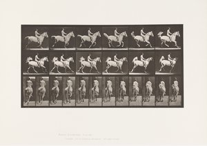 Plaat 622. Draf; Zadel; Ruiter, 43, Naakt; grijs paard Smith, 1885 door Eadweard Muybridge