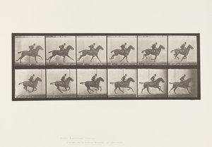 Plaat 624. Galop; Zadel; Bruin Paard Daisy door Eadweard Muybridge