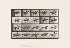 Plaat 627. Galop; Volbloed Vosmerrie Annie G. door Eadweard Muybridge