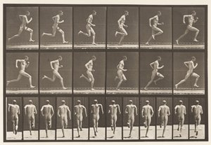 Rennen op Volle Snelheid, 1872-1885 door Eadweard Muybridge