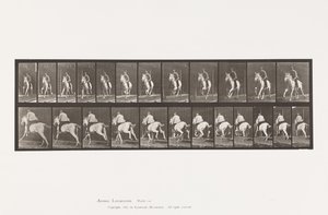 Plaat 630. Galop; Zadel; Grijze Merrie Pandora door Eadweard Muybridge