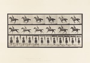 Plaat 632. Galop; Zadel; Volbloed Bruin Paard Bouquet door Eadweard Muybridge