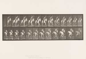 Plaat 635. Galop; Zadel; Grijze Merrie, Pandora door Eadweard Muybridge