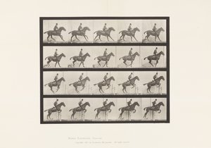 Plaat 636. Hordespringen; Zadel; Voorbereiding op de Sprong door Eadweard Muybridge