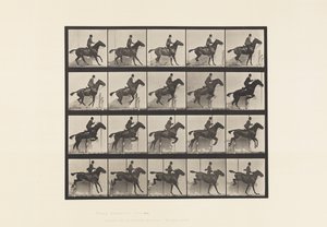 Plaat 638. Hordespringen; Zadel; Bruin Paard Daisy door Eadweard Muybridge