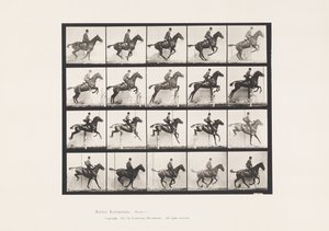 Plaat 640. Een Hordeloop; Zadel; Bruin Paard Daisy door Eadweard Muybridge