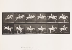 Plaat 643. Springen over een Hek; Zonder Zadel; Oversteken en Landen door Eadweard Muybridge